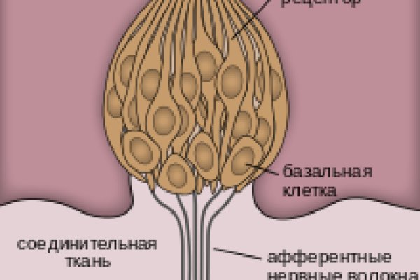 Кракен онион