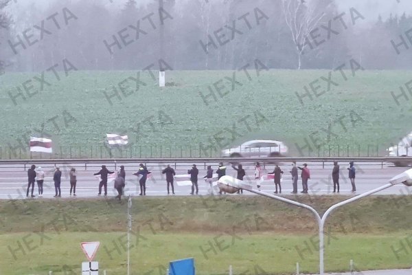 Ссылки на кракена и на мегу