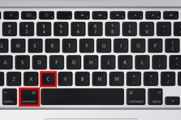 Darknet как войти