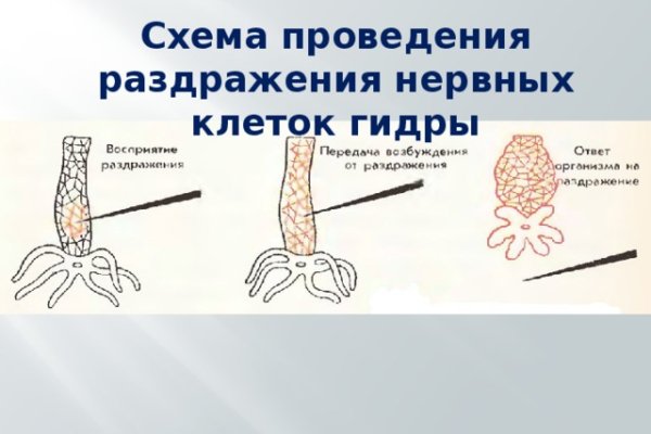 Кракен нар